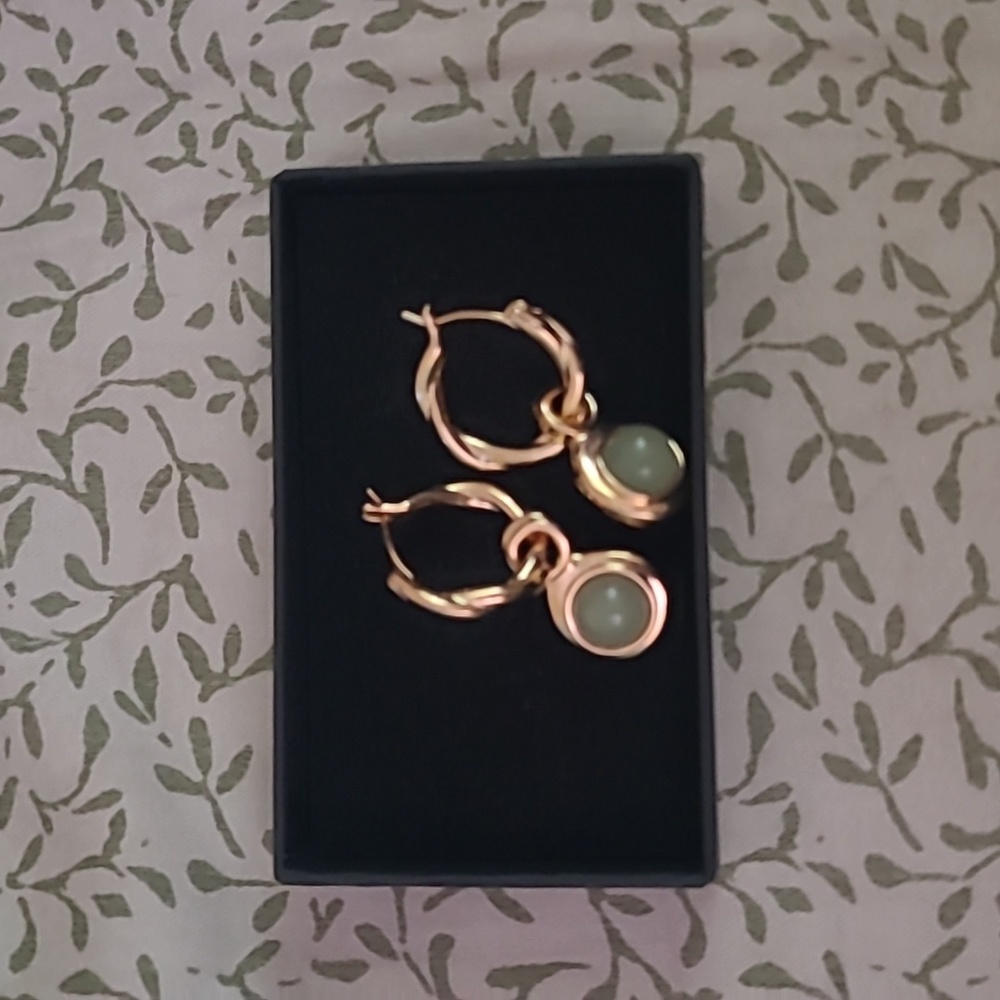 Hoop Earrings with Removable Charm